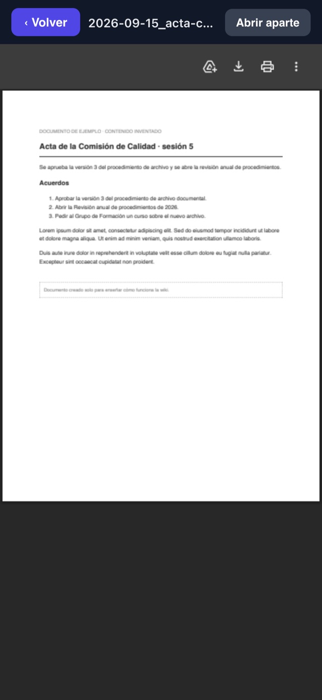 Recreación: el documento original abierto dentro de la app, con el botón Volver